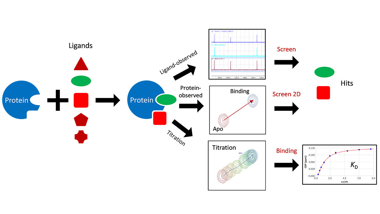teaser_Optimizing Fragment-Based Drug Discovery