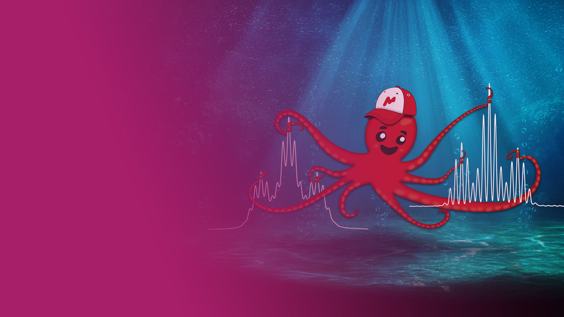 elpulpo