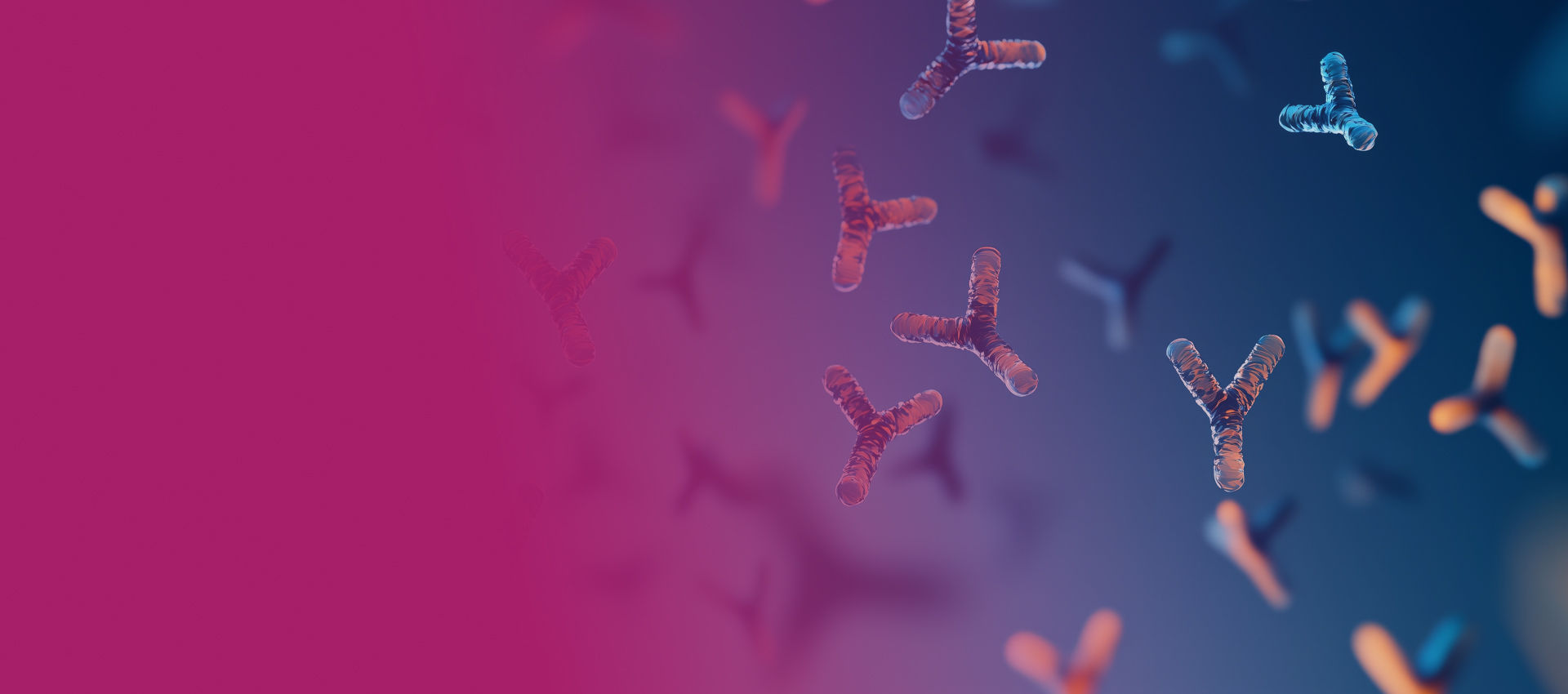 Structural Insights into mAb Degradation Pathways through Chemometrics‑NMR Synergistic Analysis